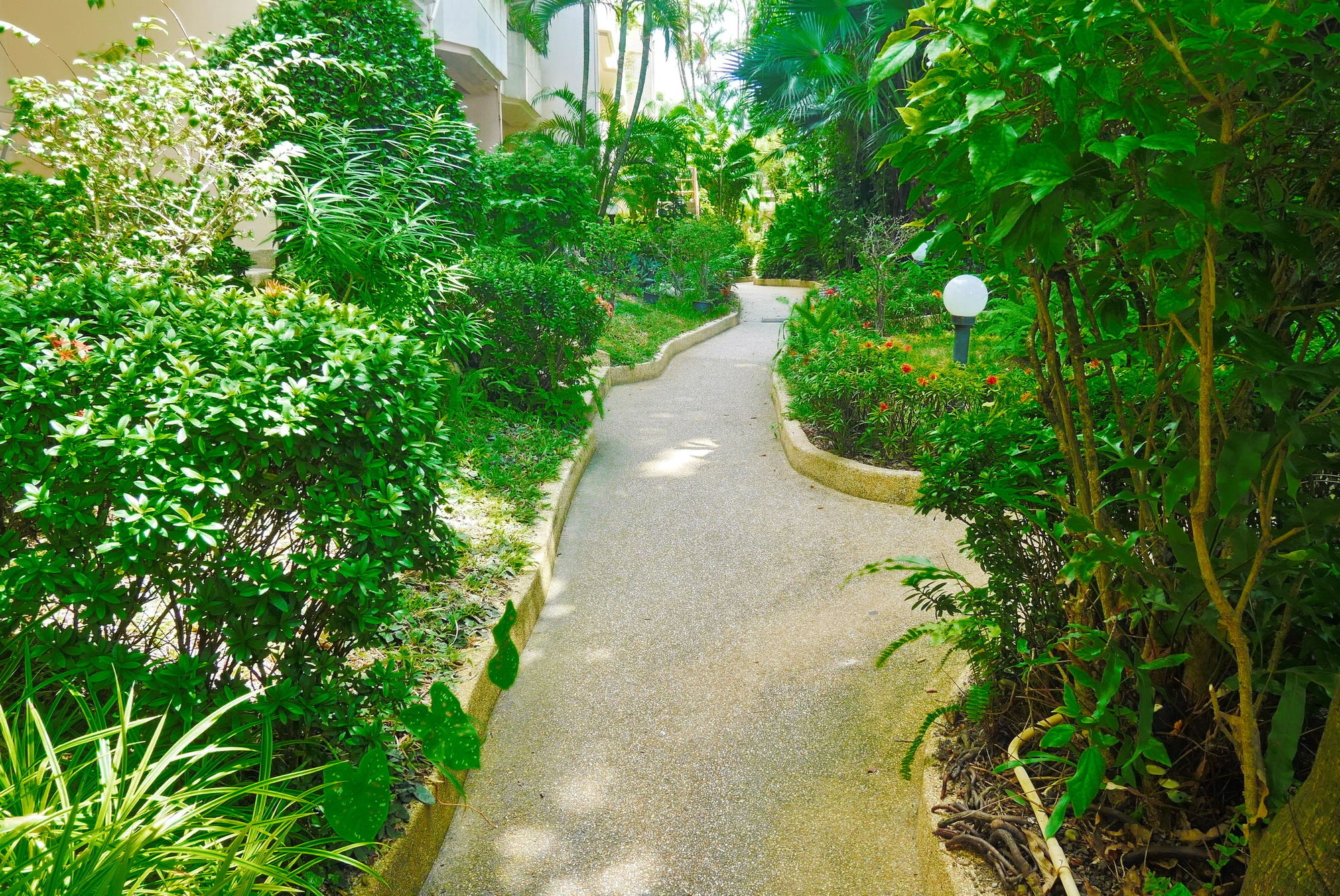 Swiss Palm Beach