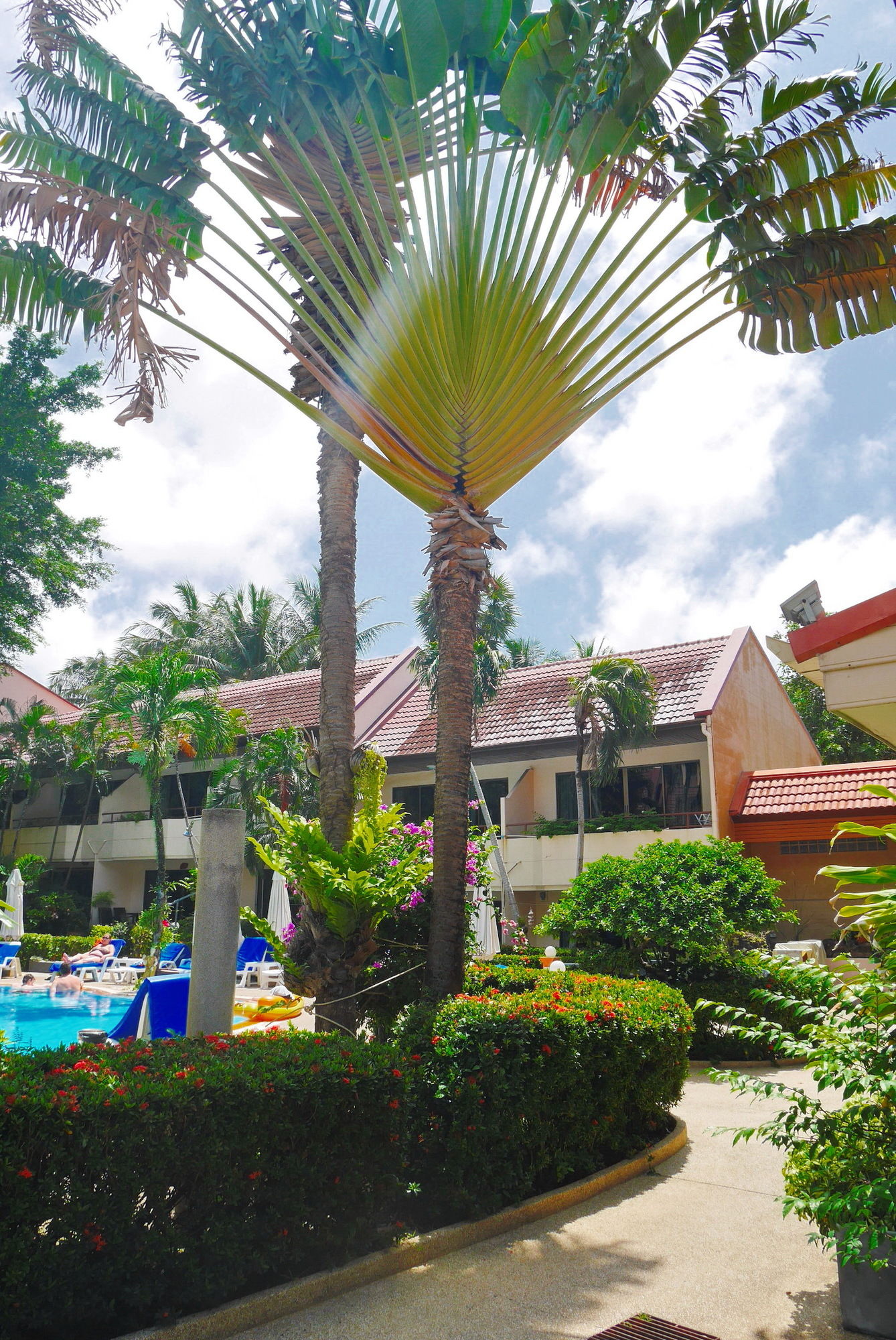 Swiss Palm Beach