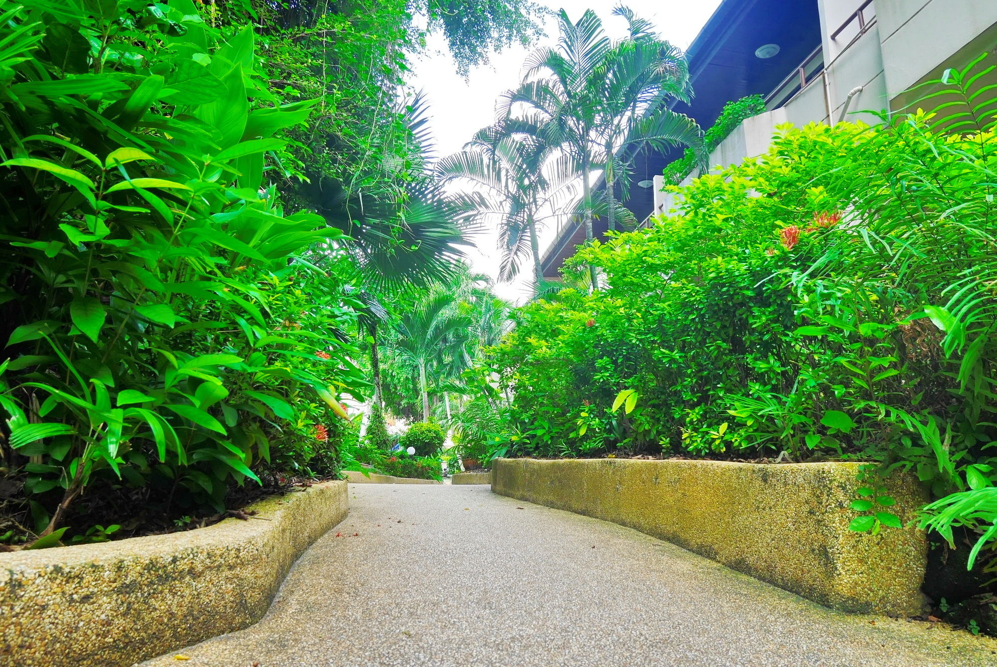 Swiss Palm Beach