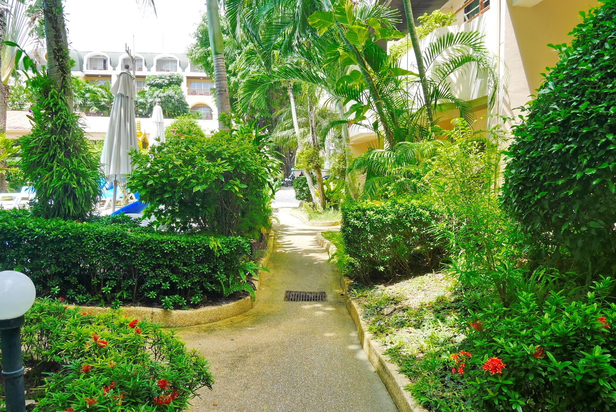 Swiss Palm Beach
