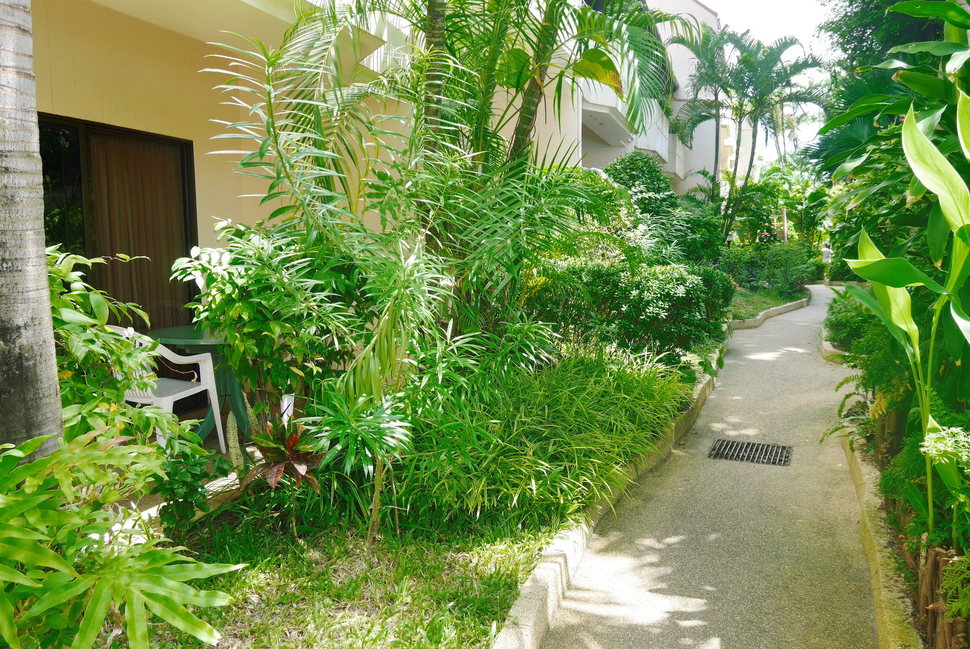 Swiss Palm Beach