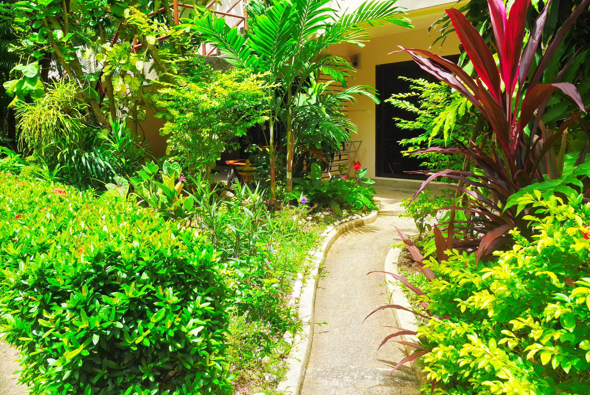 Swiss Palm Beach