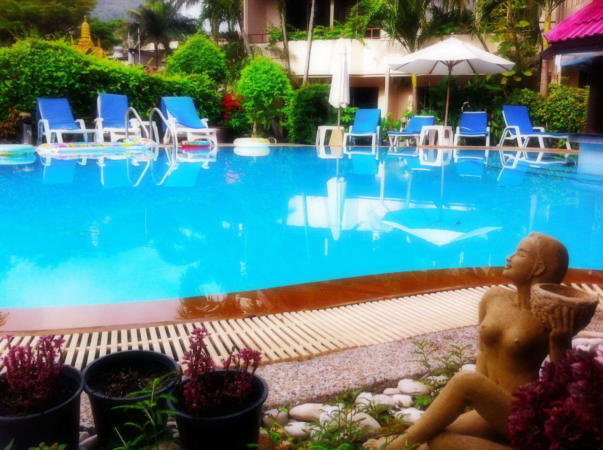 Swiss Palm Beach