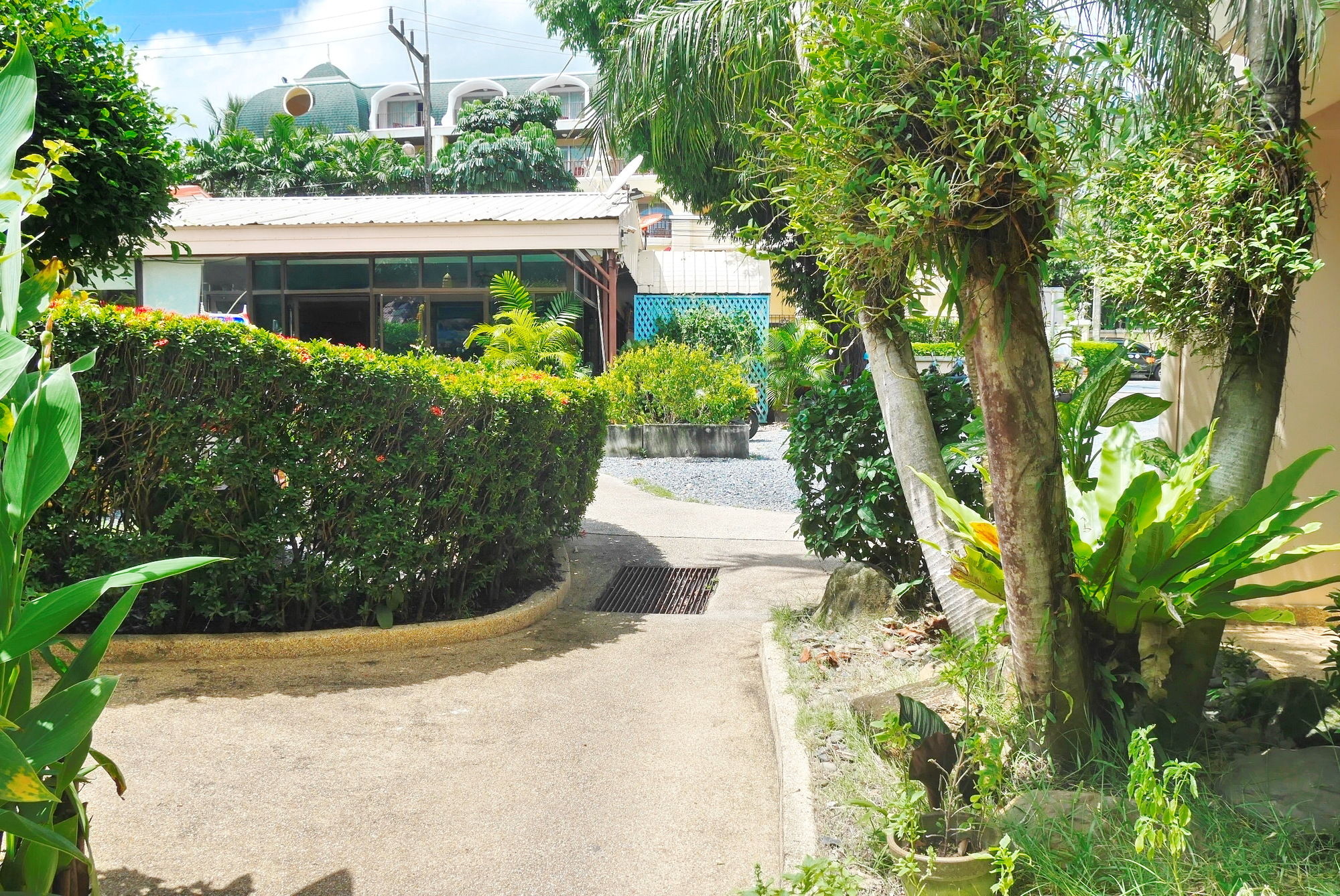 Swiss Palm Beach