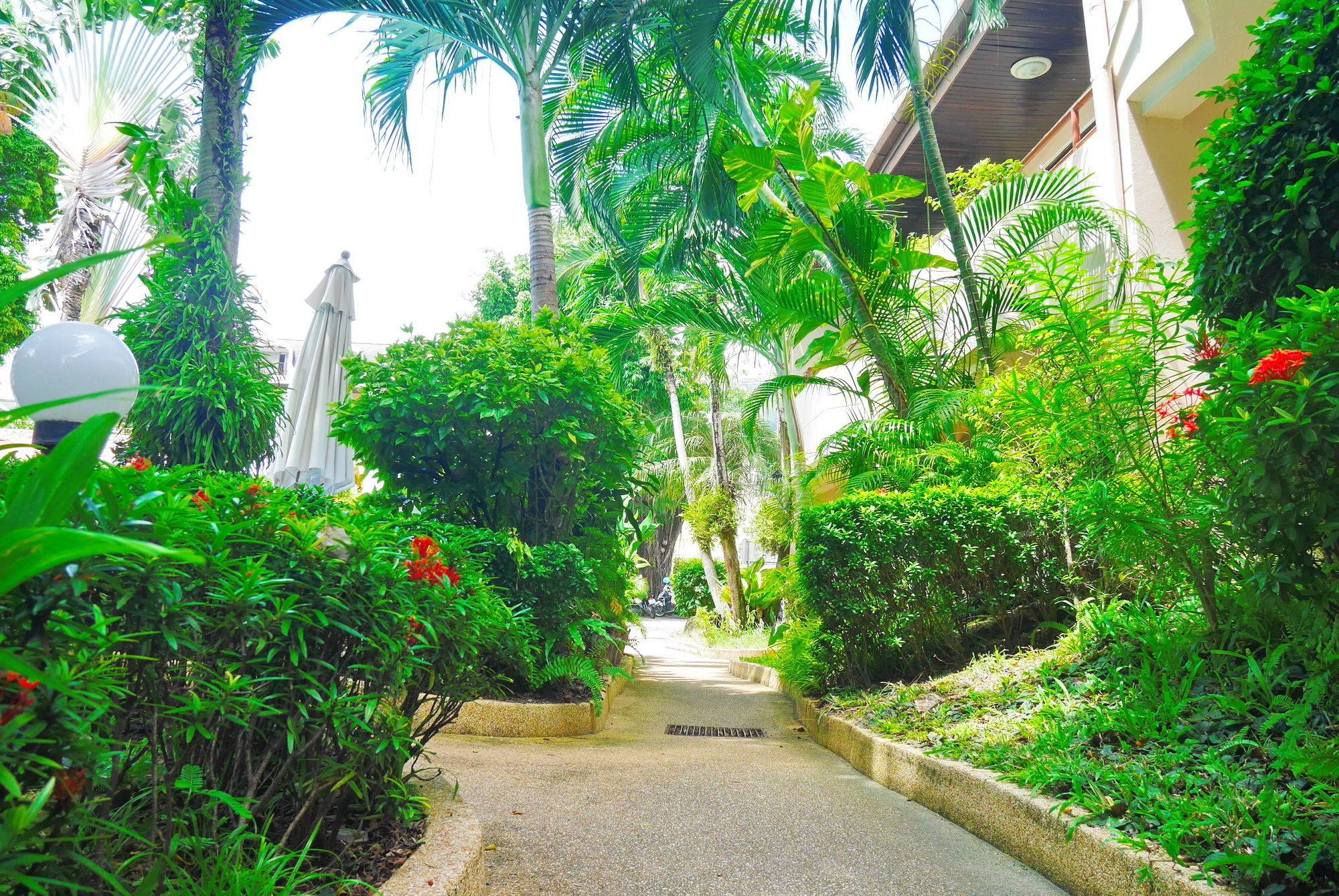 Swiss Palm Beach
