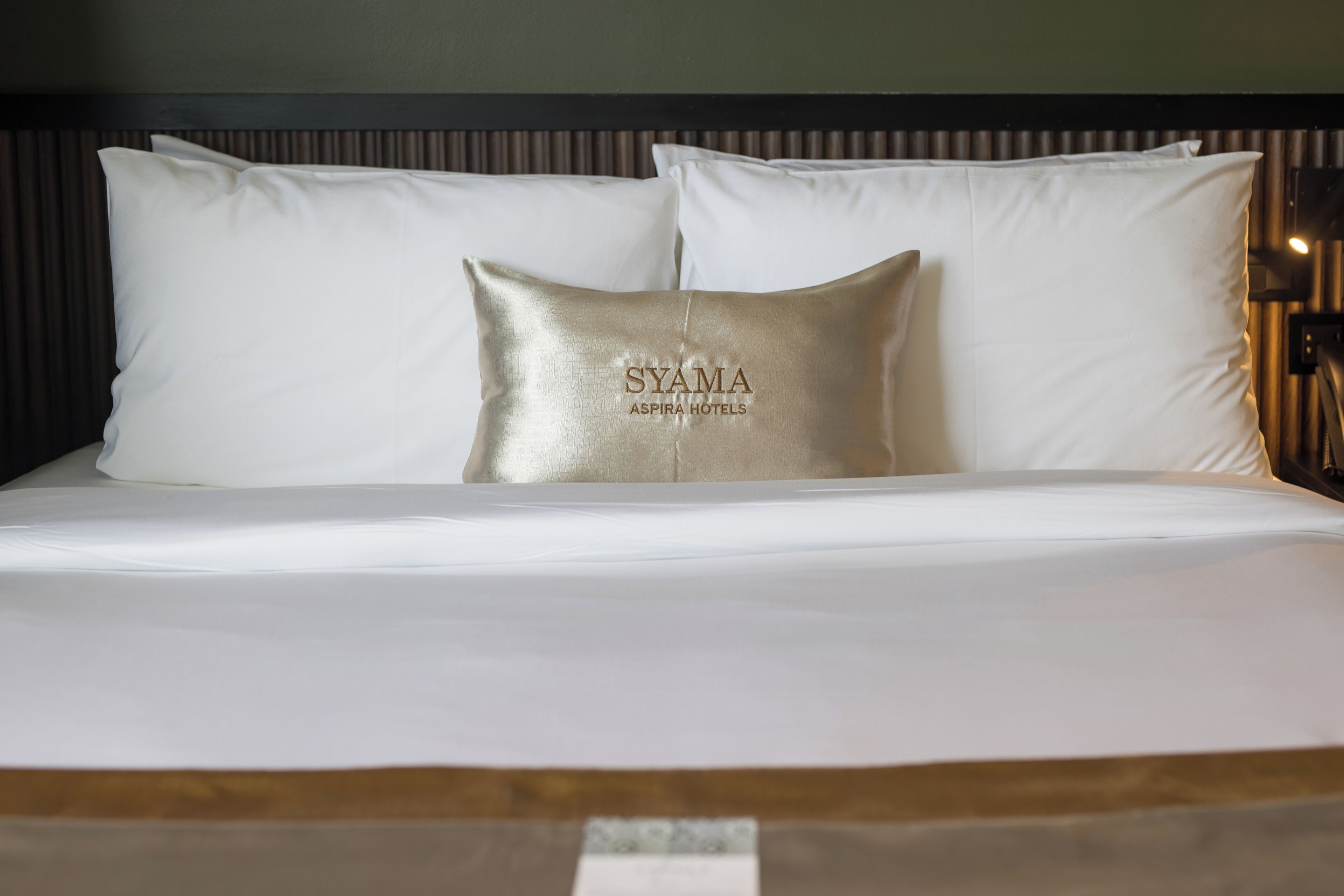 Syama Mansion Patong an Aspira Collection