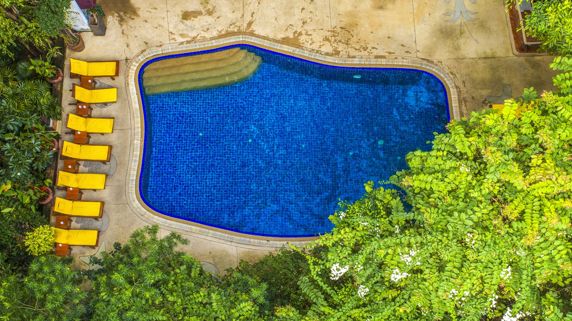 Tropica Bungalows