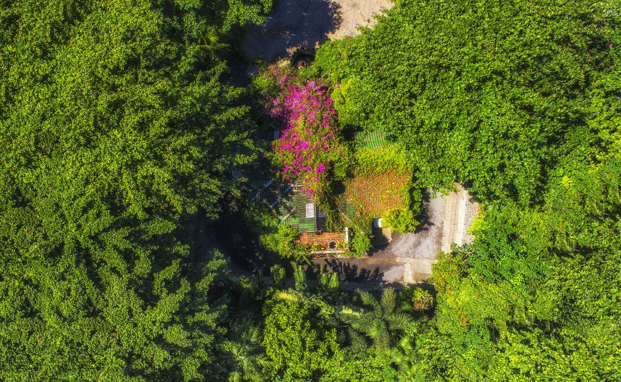 Tropica Bungalows