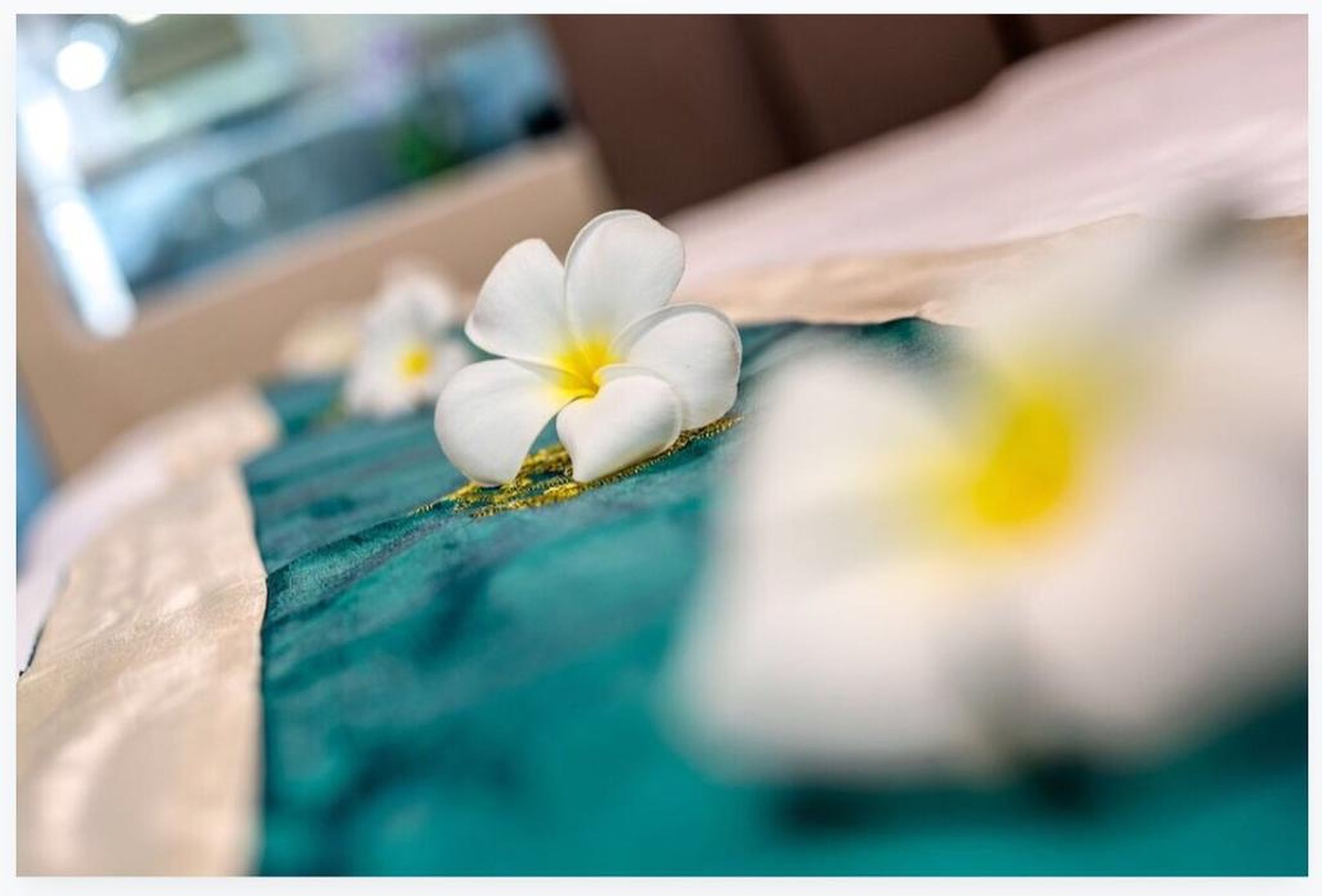 Zenseana Resort & Spa