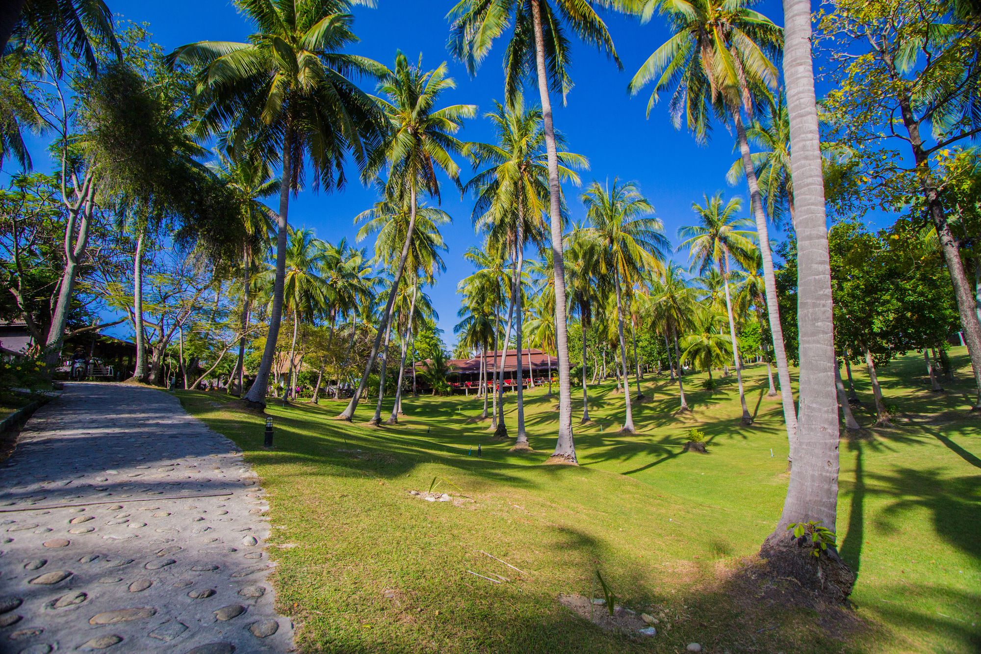 Ban Raya Resort & Spa