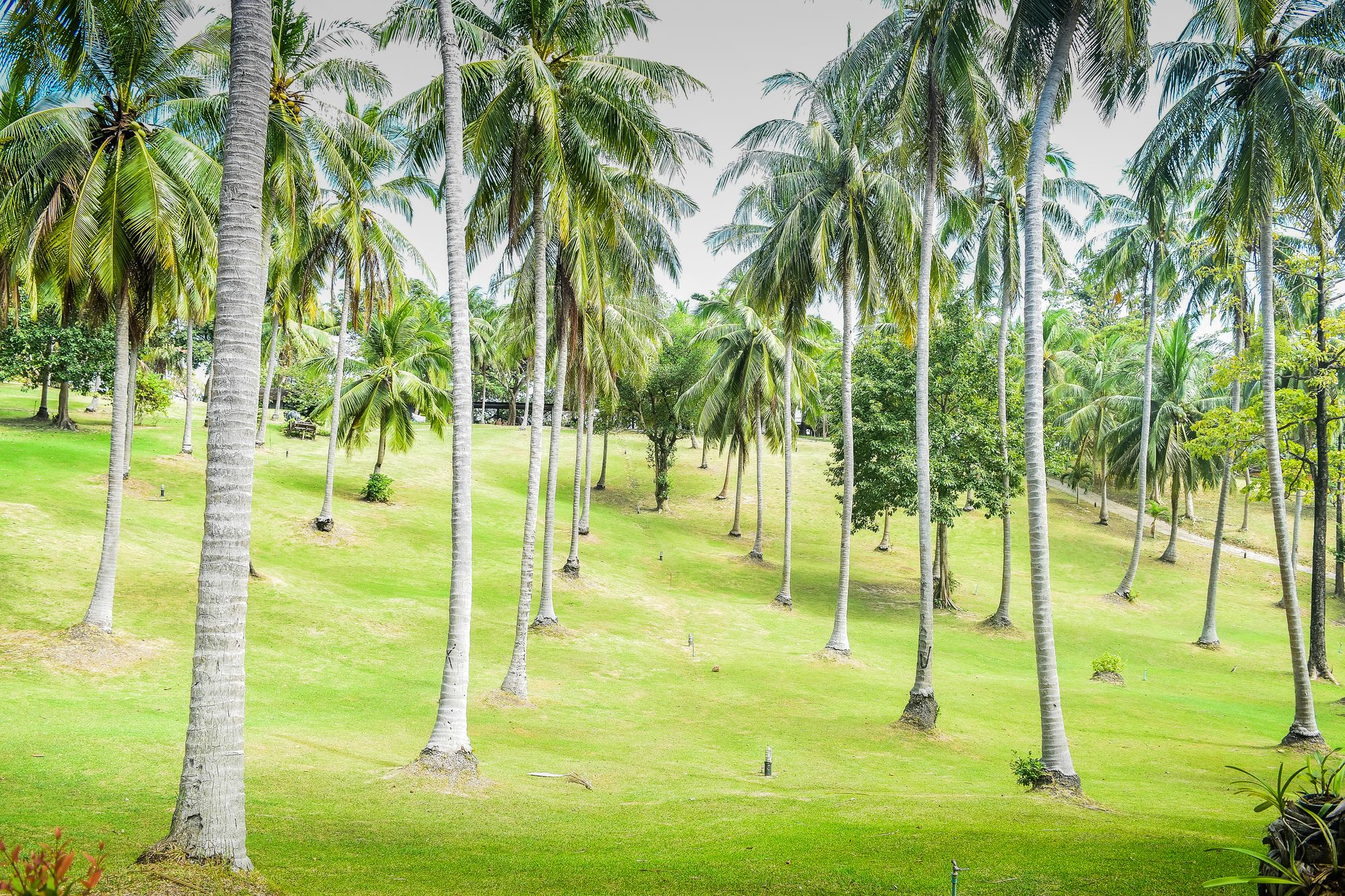 Ban Raya Resort & Spa