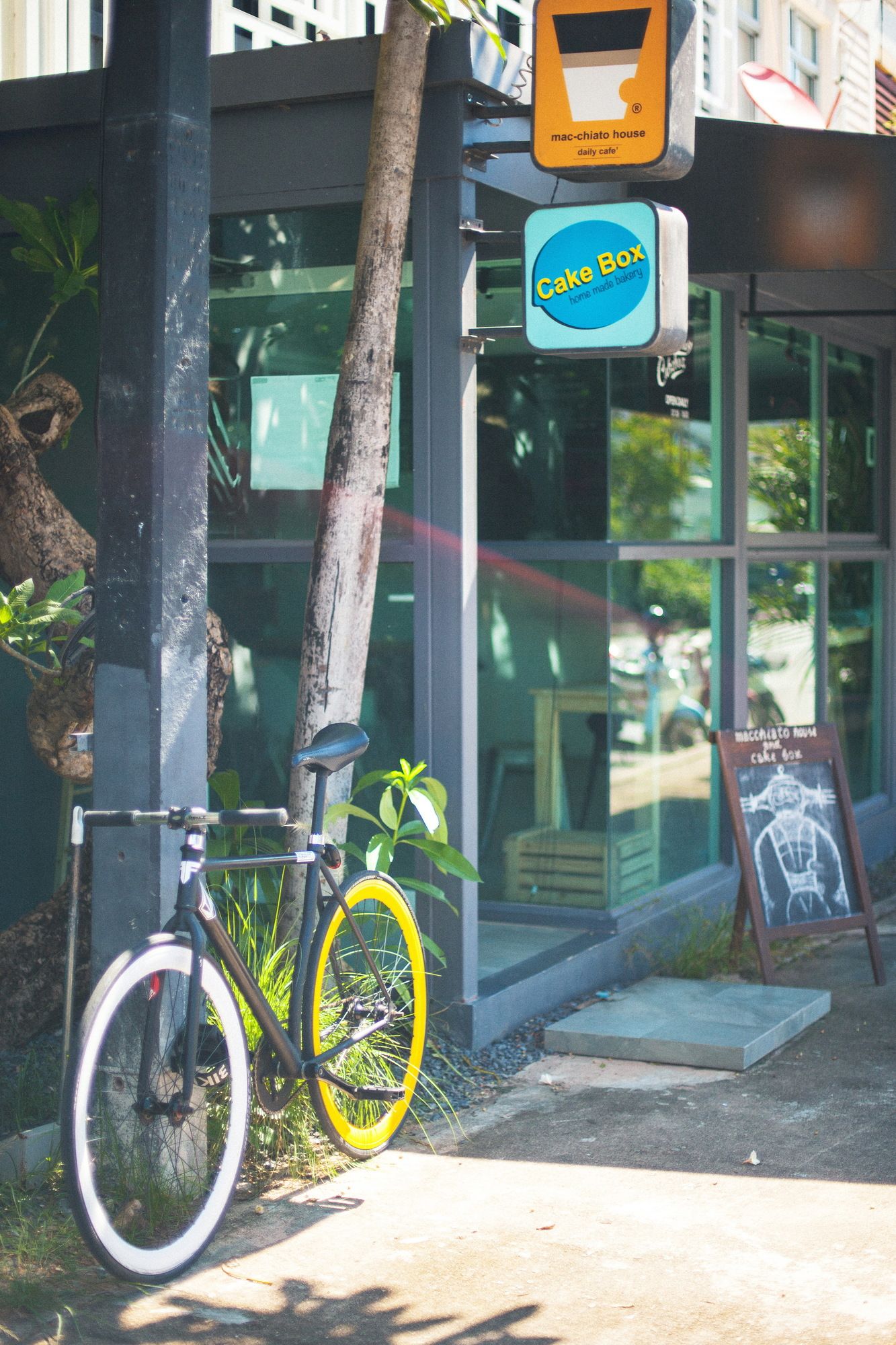 Blu Monkey Bed & Breakfast