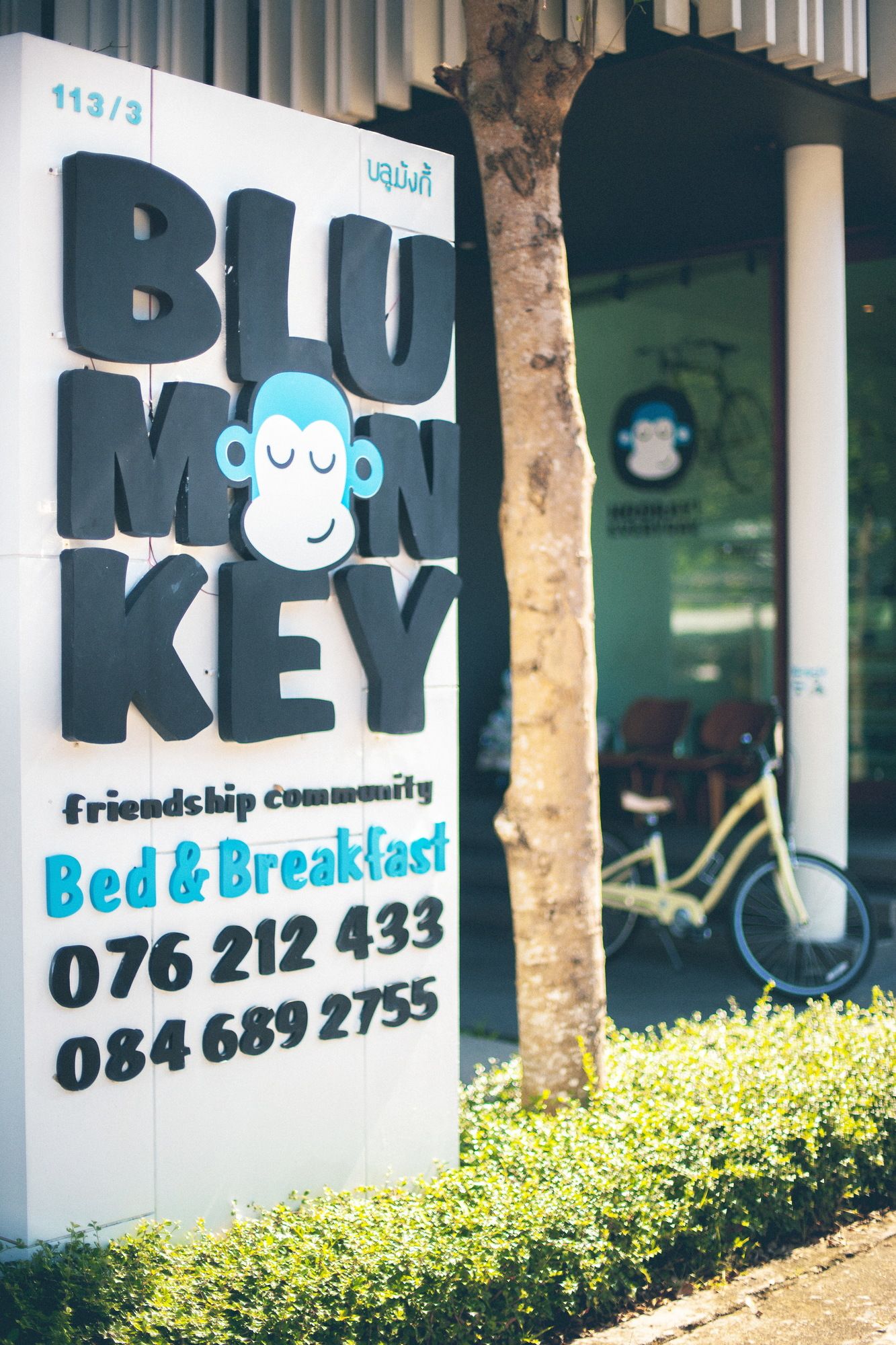 Blu Monkey Bed & Breakfast