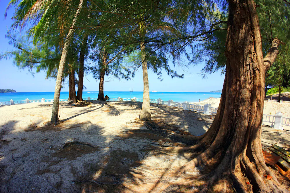 Casuarina Shores