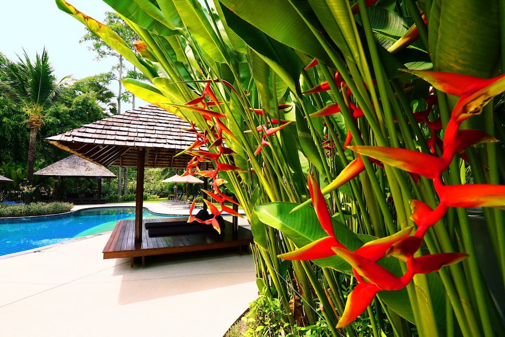Casuarina Shores