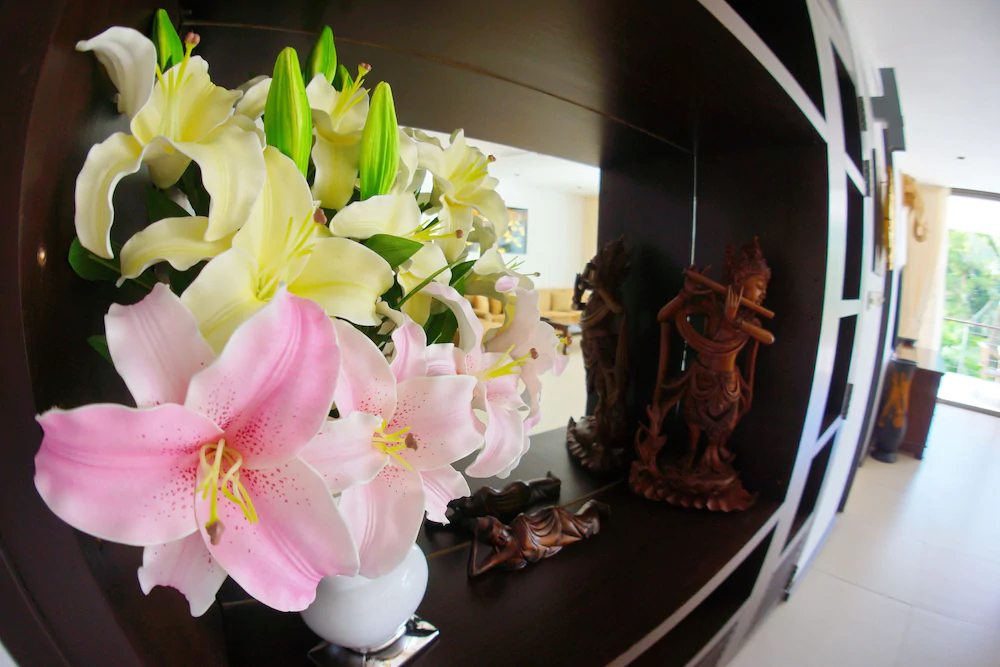 Casuarina Shores