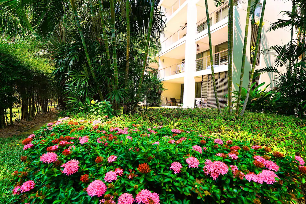 Casuarina Shores
