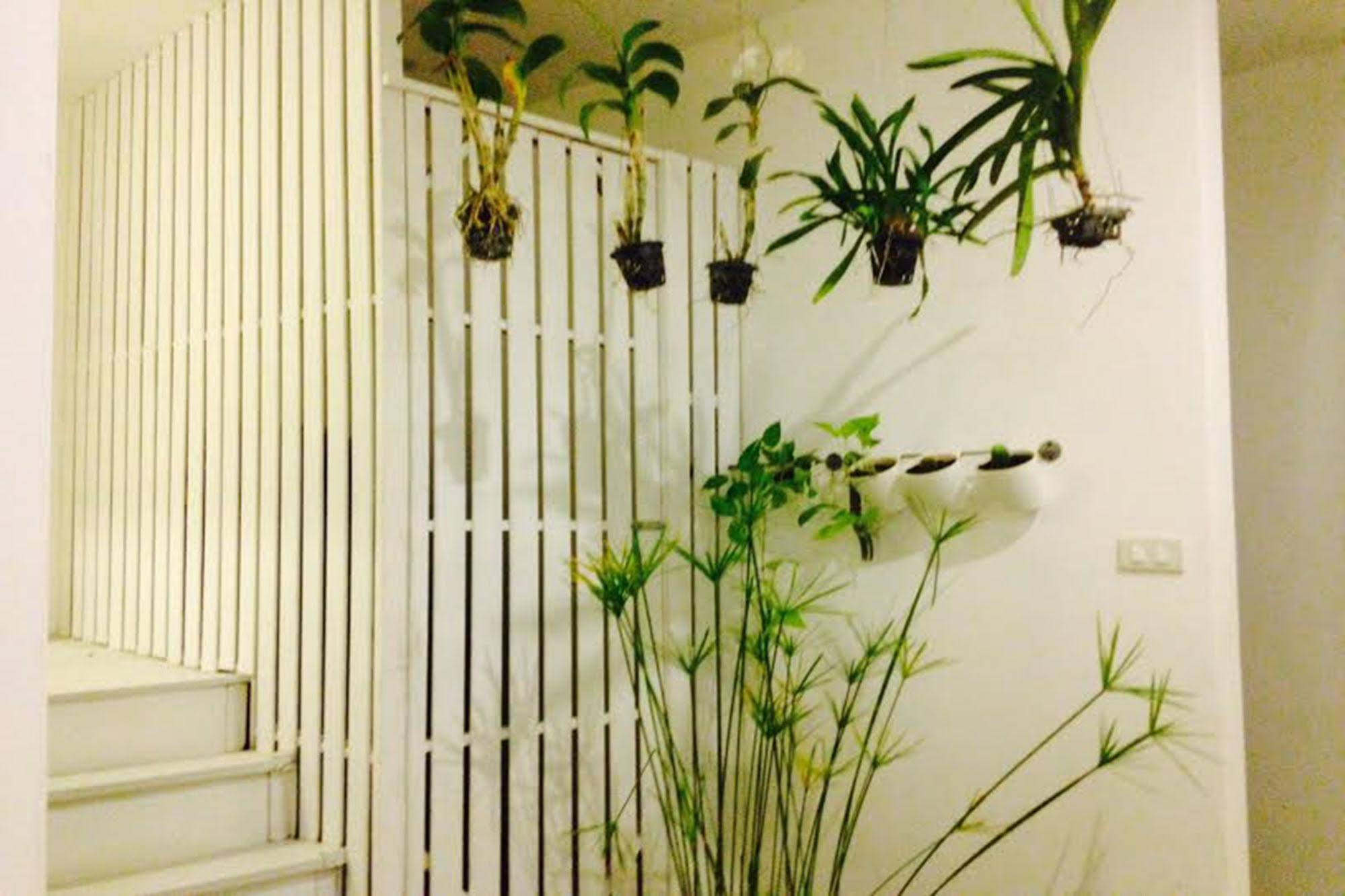 Chino Town Gallery Hostel