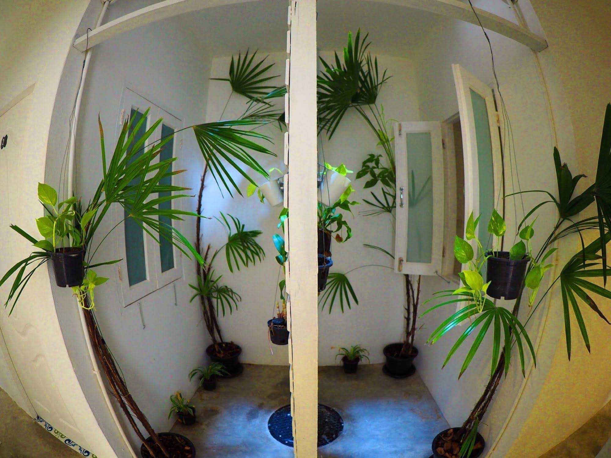 Chino Town Gallery Hostel