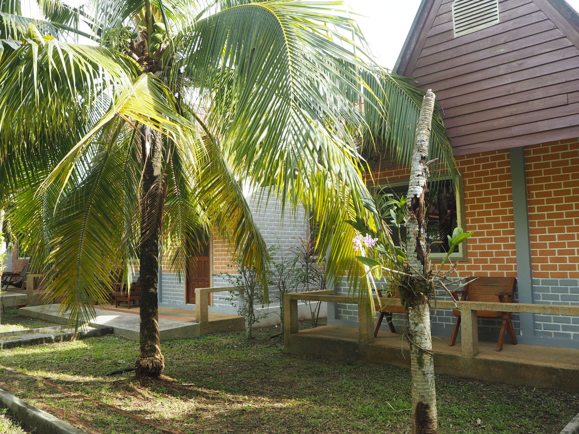 Coconut Bungalow
