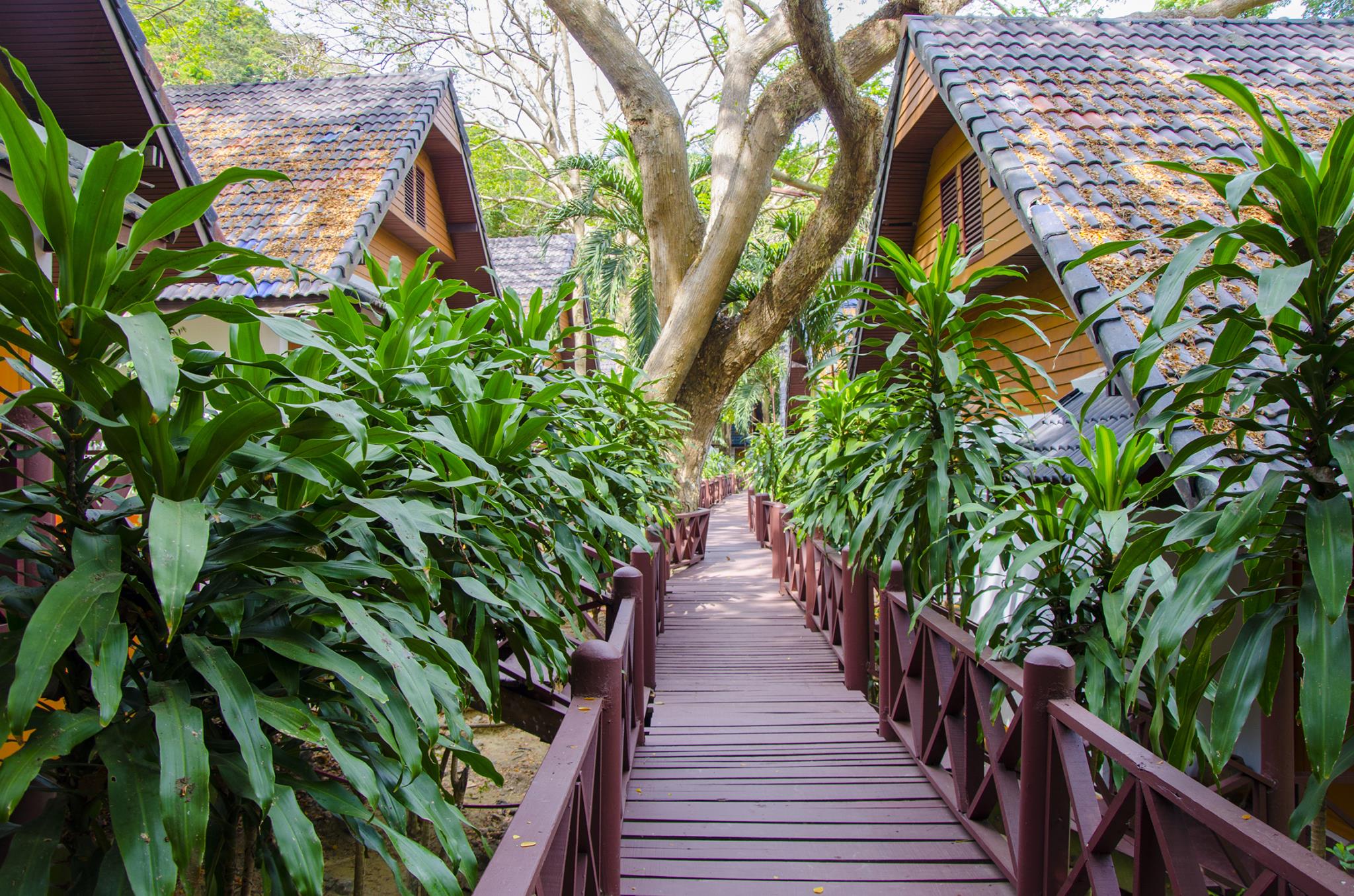 Coral Island Resort