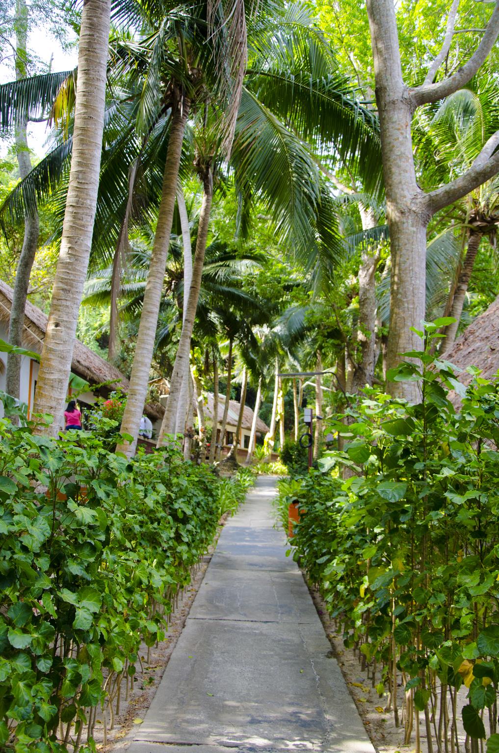 Coral Island Resort