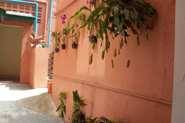 D's Corner & Guesthouse