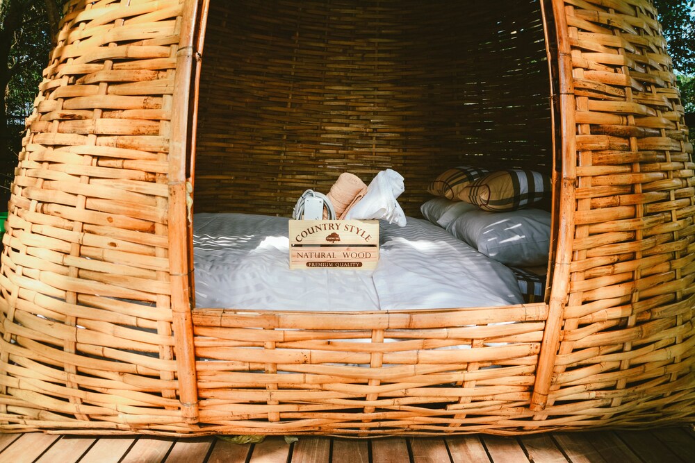 Elephant Jungle Sanctuary