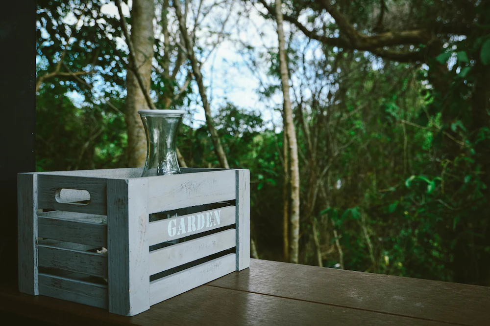 Elephant Jungle Sanctuary