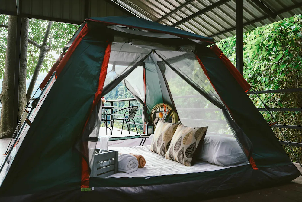 Elephant Jungle Sanctuary