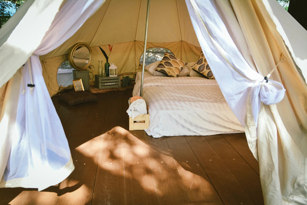 Elephant Jungle Sanctuary