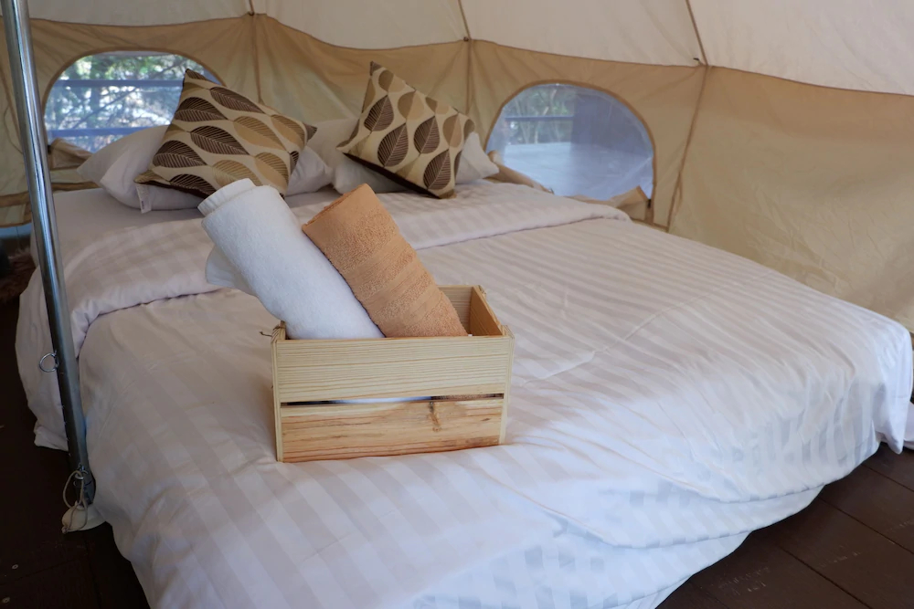 Elephant Jungle Sanctuary