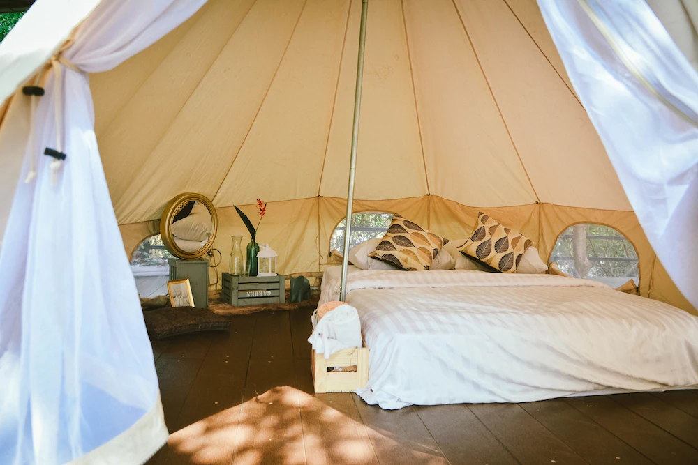 Elephant Jungle Sanctuary