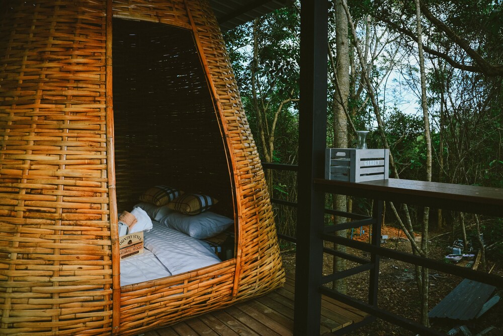 Elephant Jungle Sanctuary