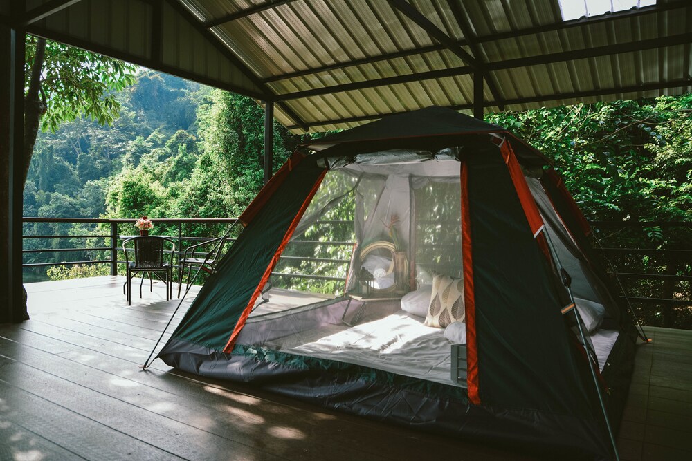 Elephant Jungle Sanctuary