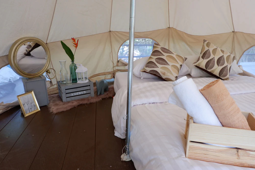 Elephant Jungle Sanctuary