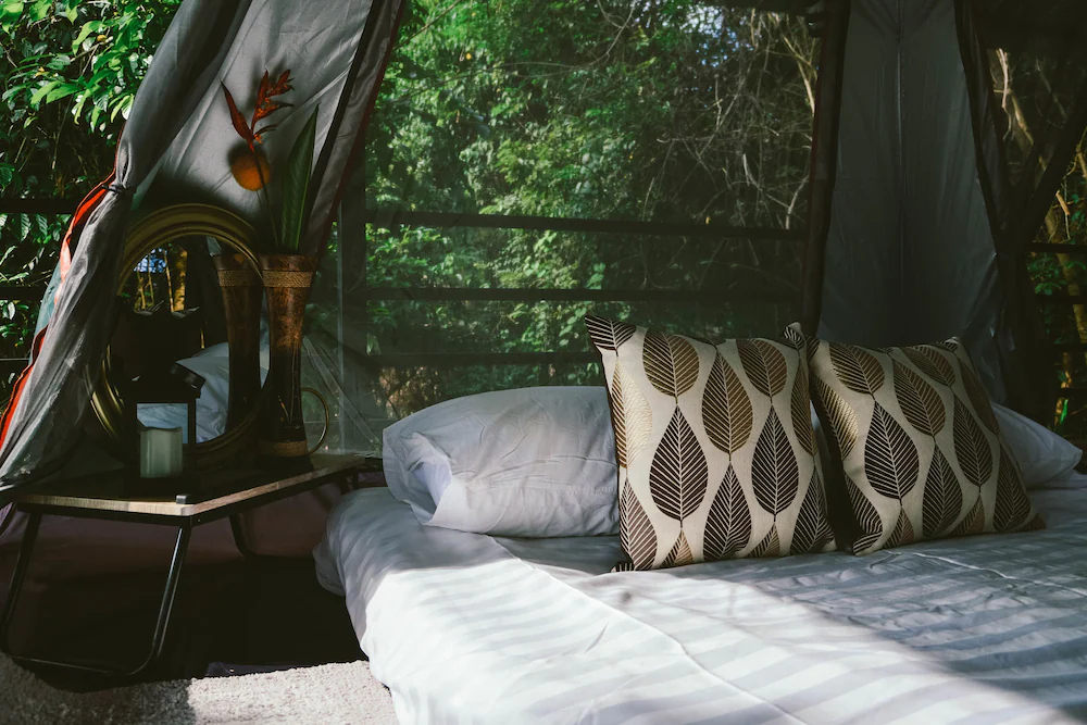 Elephant Jungle Sanctuary