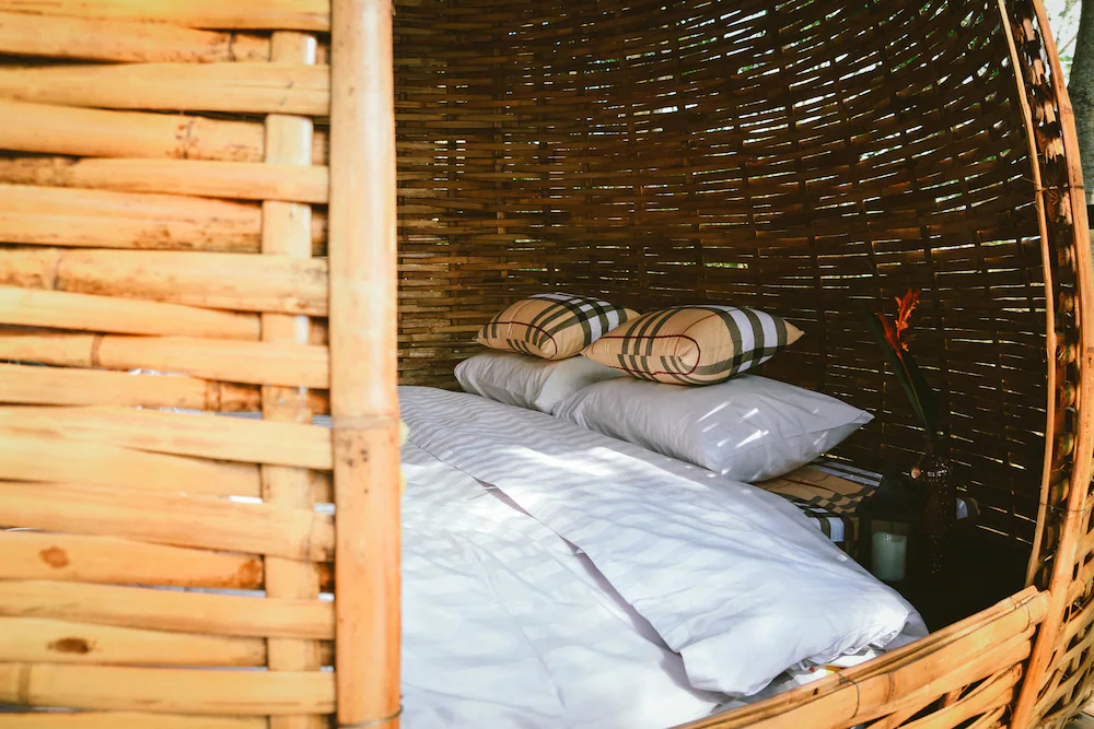 Elephant Jungle Sanctuary