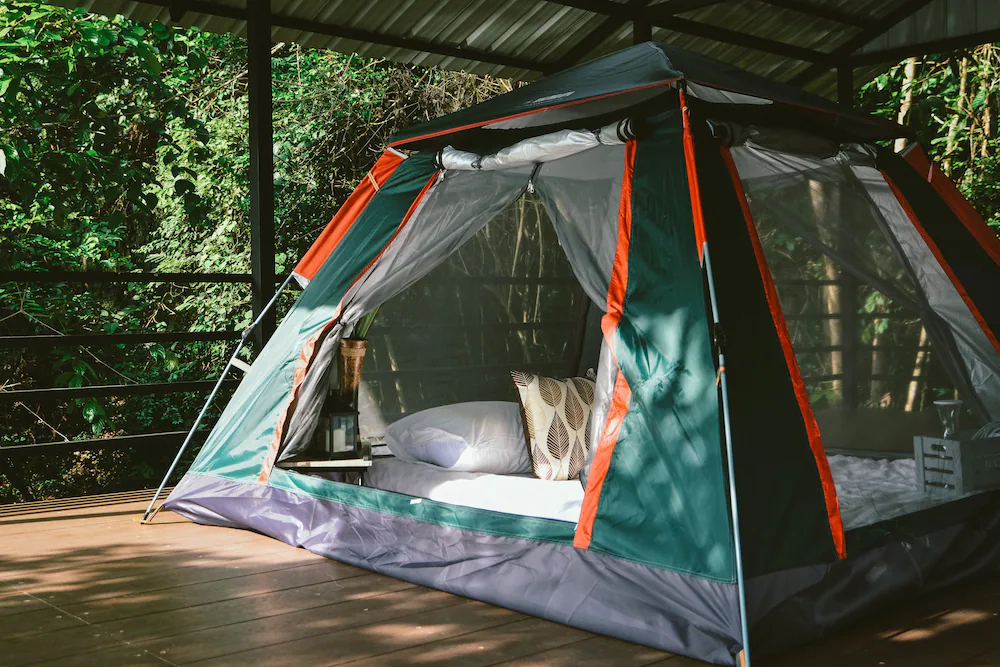 Elephant Jungle Sanctuary