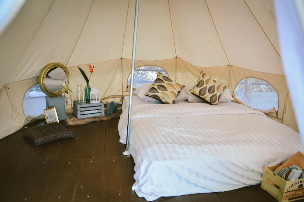 Elephant Jungle Sanctuary