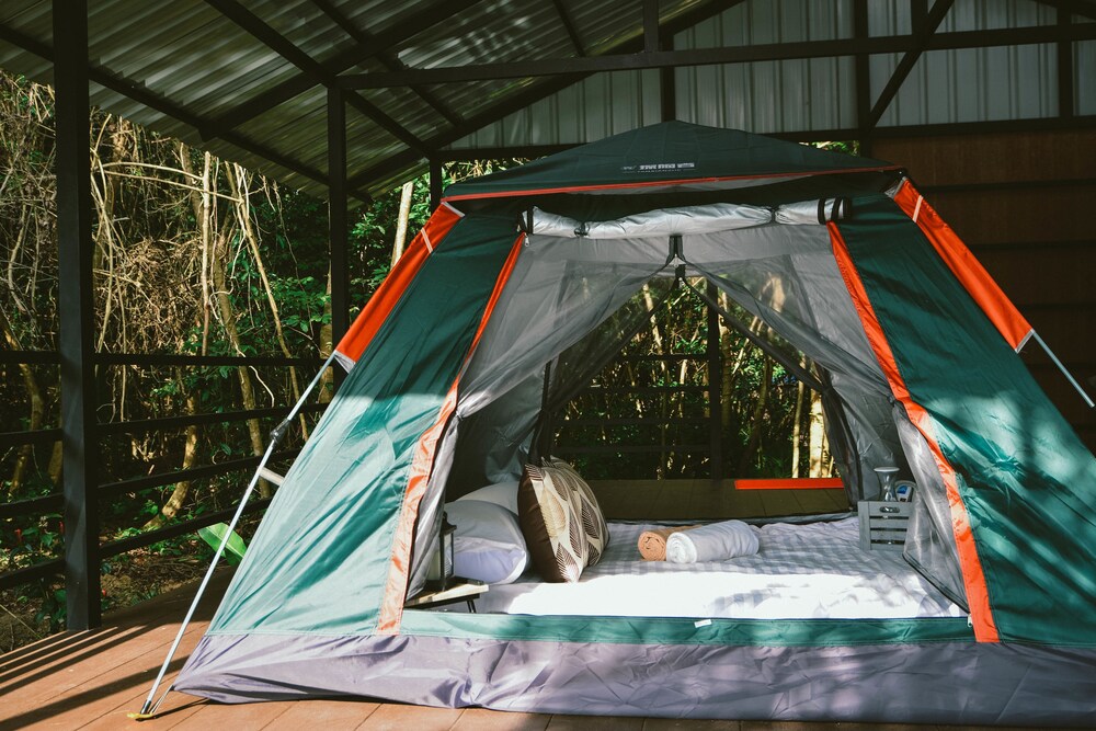 Elephant Jungle Sanctuary