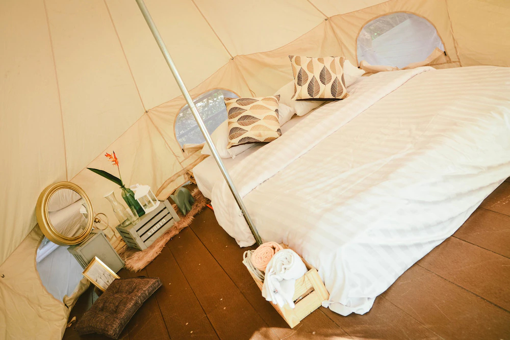 Elephant Jungle Sanctuary