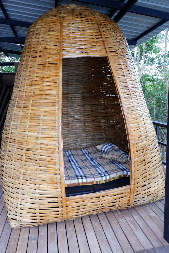 Elephant Jungle Sanctuary