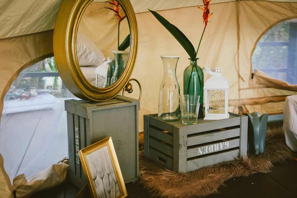 Elephant Jungle Sanctuary