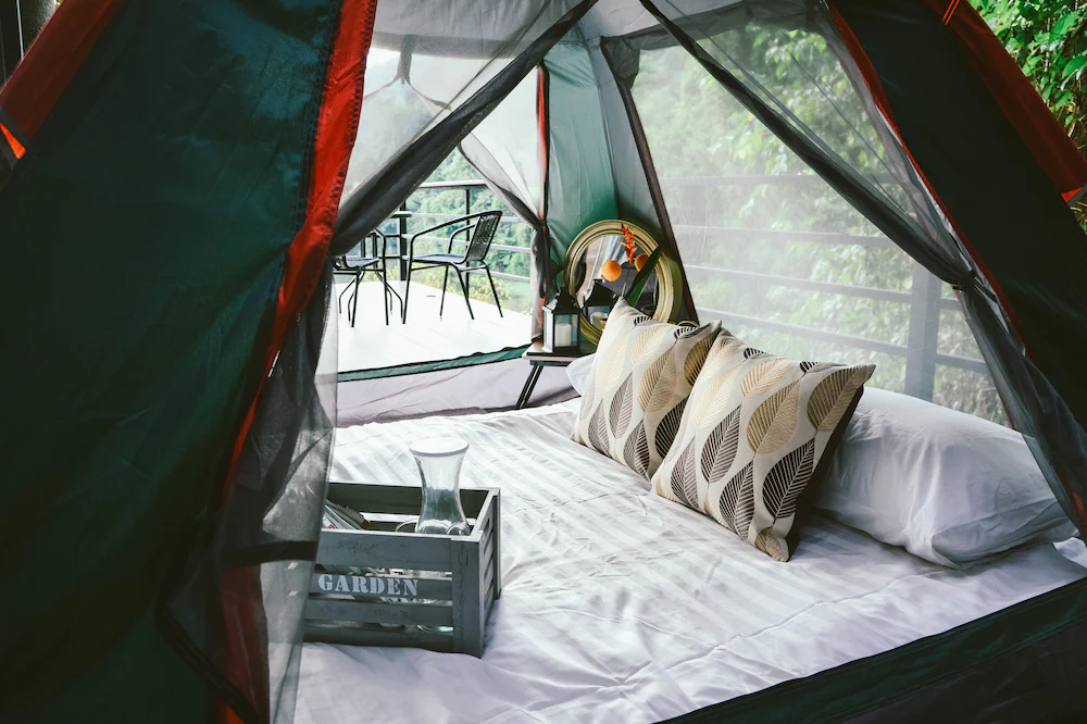 Elephant Jungle Sanctuary