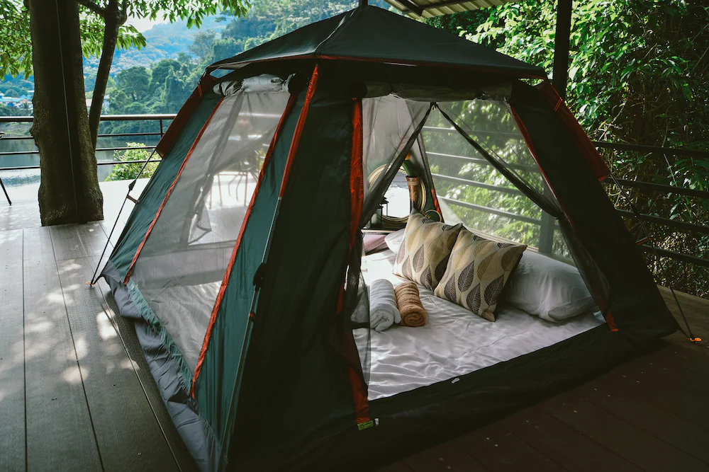 Elephant Jungle Sanctuary