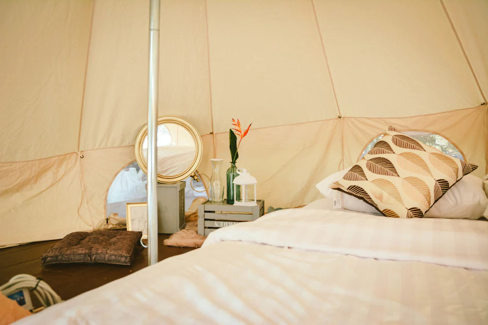 Elephant Jungle Sanctuary