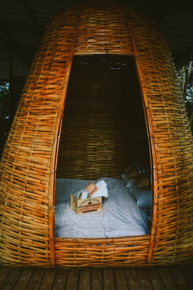 Elephant Jungle Sanctuary