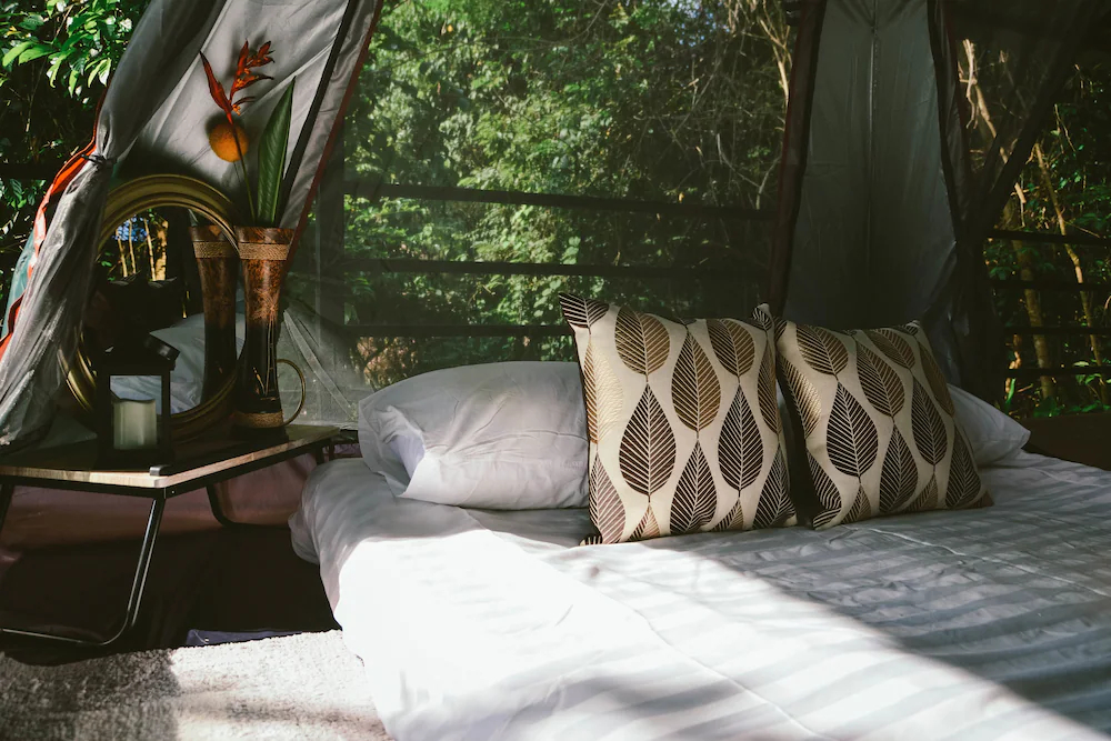 Elephant Jungle Sanctuary