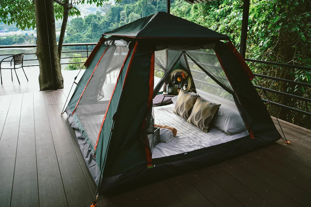 Elephant Jungle Sanctuary